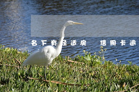 名下有经适房 信用卡逾期 名下有经适房 信用卡逾期